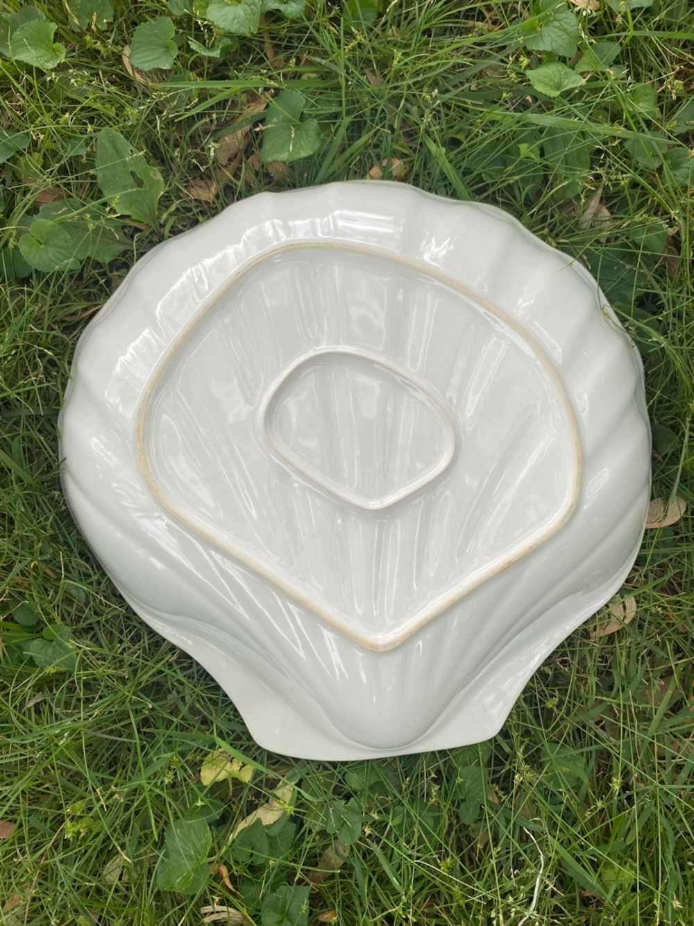 White Shell-Shaped Decorative Bowl - Picture 5 of 5